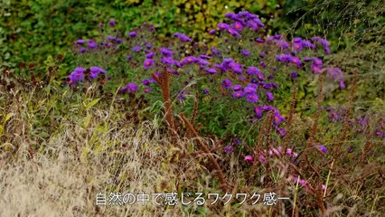 映画『FIVE SEASONS ガーデン・オブ・ピート・アウドルフ』予告編