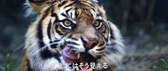 映画『ハウス・ジャック・ビルト』