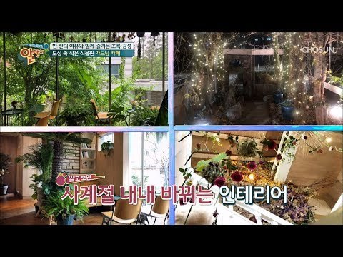오색빛깔 싱그러움 활짝~ 포토존의 성지 가드닝 카페! [알맹이] 7회 20190127