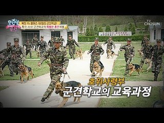 [선공개] 북한 1퍼센트 클래스! 비밀의 군견학교 특각 사수 [모란봉 클럽] 177회 20190303