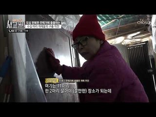 한 곳을 바라보는 견(犬)생 한 달 차! 무슨 일?! [시그널] 60회 20190130