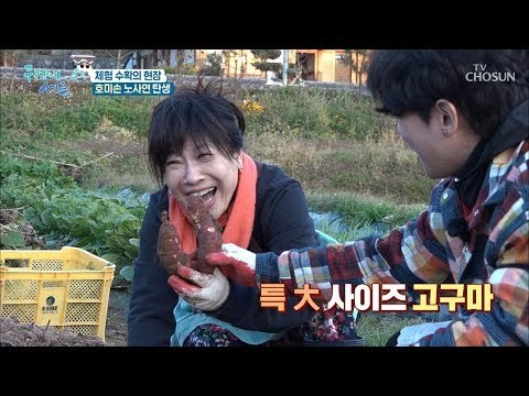 호미 손 사연 등장! 넣다 하면 왕고구마가 쑥쑥~ [두 번째 서른] 5회 20190130