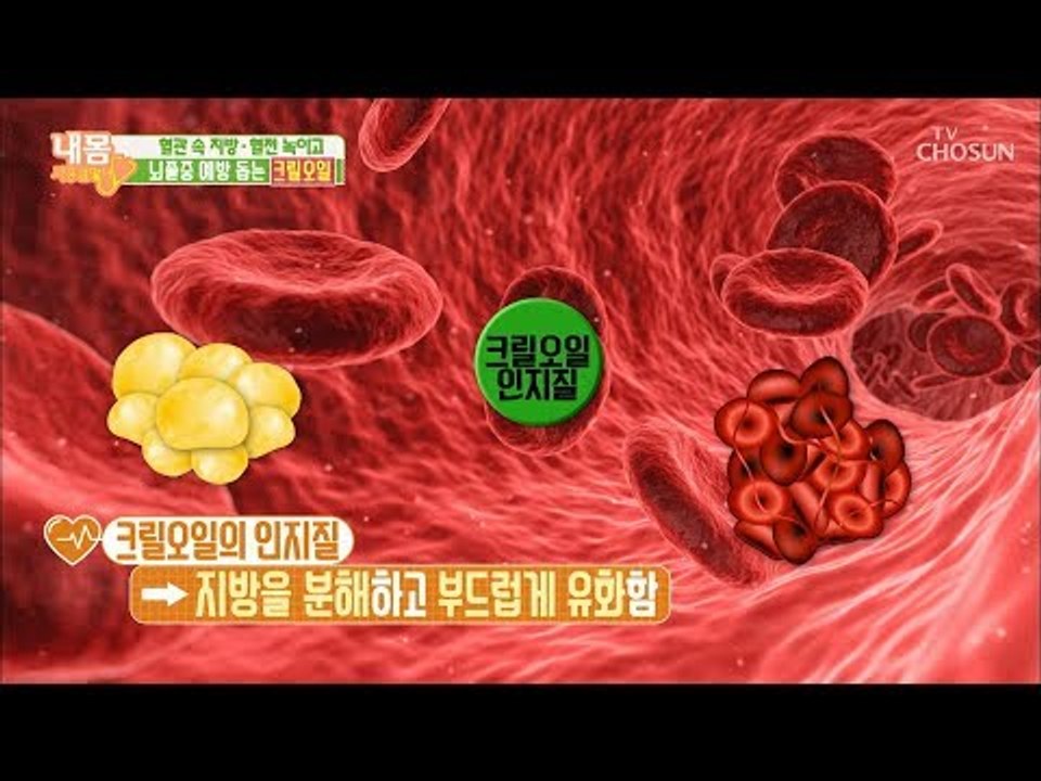 뇌졸중 원인 ‘활성산소’ 제거하는 비법 공개? [내 몸 사용설명서] 241회 2019...