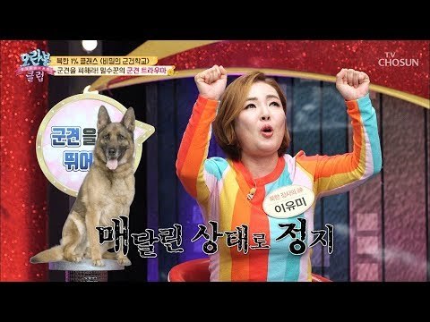 군견을 피해라! 국경 경비대에서 잡힌 밀수꾼의 최후는? [모란봉 클럽] 177회 20190303