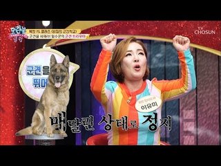 군견을 피해라! 국경 경비대에서 잡힌 밀수꾼의 최후는? [모란봉 클럽] 177회 20190303