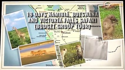 Enrico's Tours and Safaris