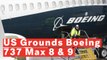 US Grounds Boeing 737 Max 8 And 9 Jets After Fatal Ethiopian Airlines Crash