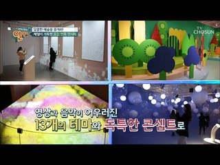 달콤한 예술을 즐겨라! 체험이 가득한 오감만족 전시회는? [알맹이] 12회 20190310