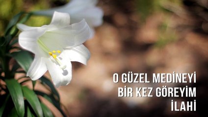 Müziksiz İlahiler - O Güzel Medineyi Bir Kez Göreyim