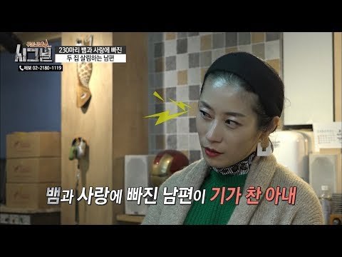 서랍장처럼 보이는 칸의 정체는 뱀 아파트?! [시그널] 63회 20190303