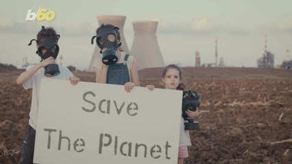 1,200 Species Face 'Almost Certain Extinction,' Study Finds