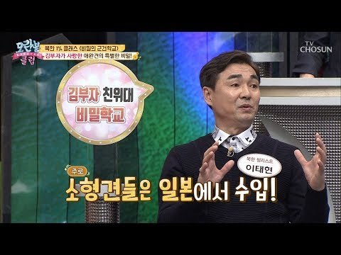 “우리 똥강아지 이쁘다우~” 김부자네 애완견의 특별한 비밀! [모란봉 클럽] 177회 20190303
