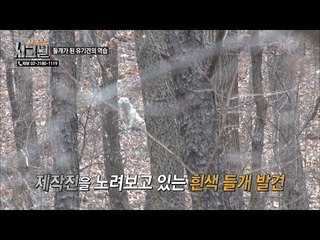 들개가 된 유기견들의 역습?! [시그널] 64회 20190310