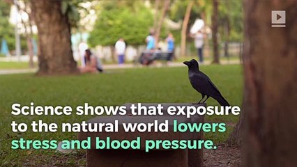 'Nature Prescriptions' Are Gaining Popularity