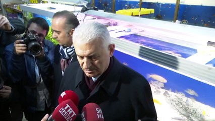 Yıldırım: 'Sahipli-sahipsiz hayvanlarla ilgili haklar düzenlenecek' - İSTANBUL