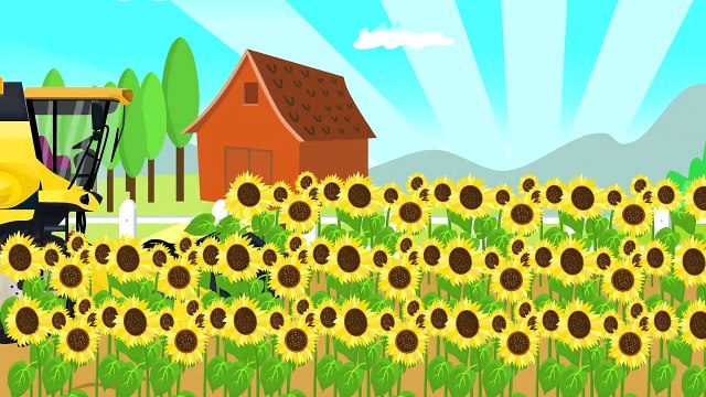 Field work on a grape harvest | Green Tractor & grapes | the tale of a Tractor, vintage new tale