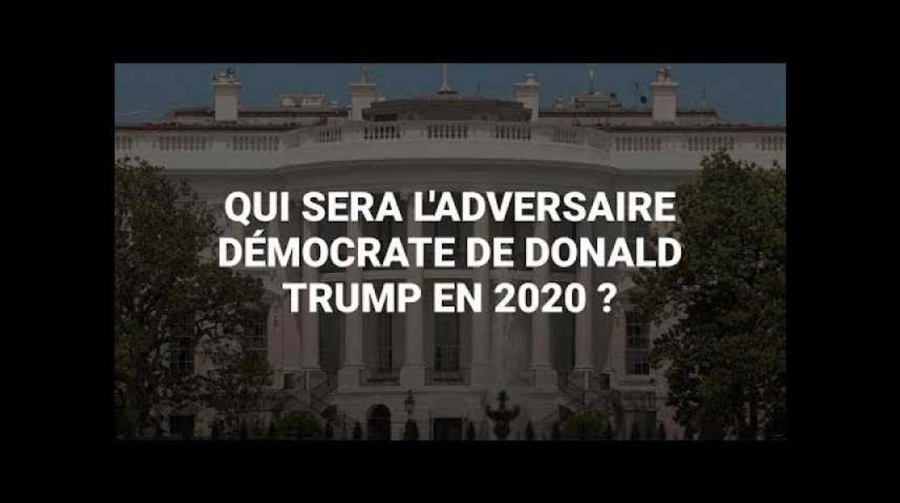 Les candidats démocrates se bousculent pour affronter Donald Trump en 2020
