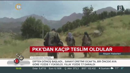 Teröristler PKK'dan kaçıp teslim oldu