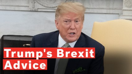 Descargar video: Donald Trump Says Theresa May Should've Taken His Advice Over Brexit, Says UK Shouldn't Have New Vote