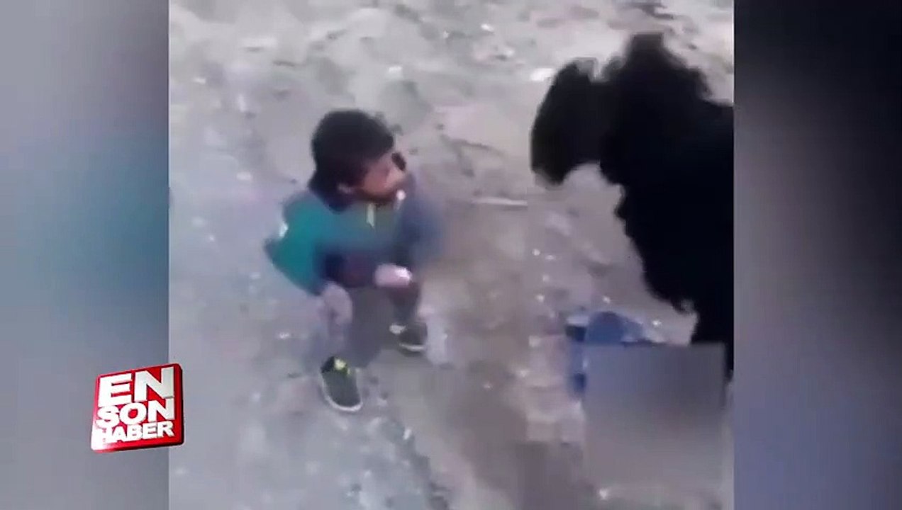 Koyuna atarlanan ufaklığın acı sonu
