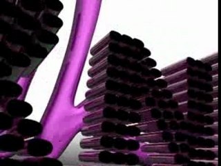 RnB Jingle Vibes 🎶