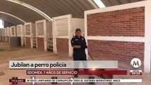 Jubilan a perro policia despues de 7 años de servicio