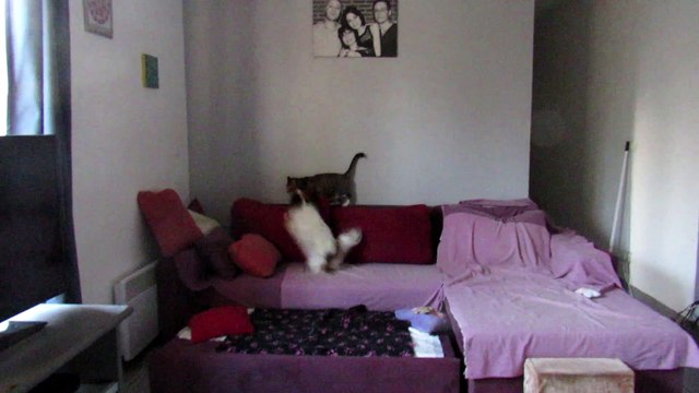 Lyli invite Mimine à jouer