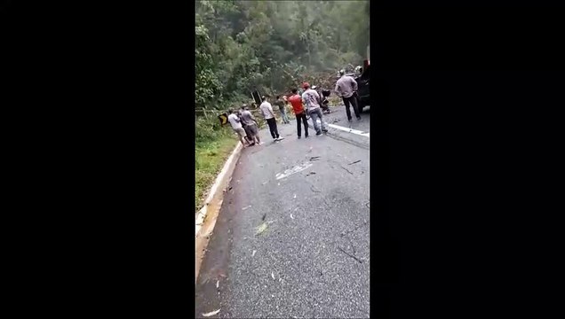 Chuva e ventania provocam queda de árvores em Domingos Martins