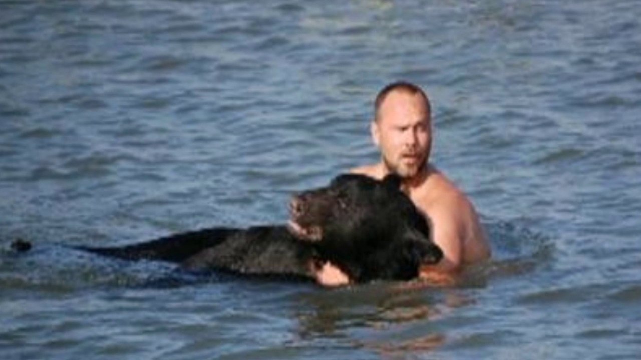 Dieser Bär ertrinkt im Ozean, doch dann wagt ein mutiger Mann das Unfassbare