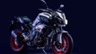 Yamaha MT-09 / MT-10 Updated Color New Light Gray Combination Vermillion 2019 | Mich Motorcycle