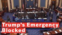 12 Republicans Side With Democrats In Voting To Block Trump's National Emergency Declaration