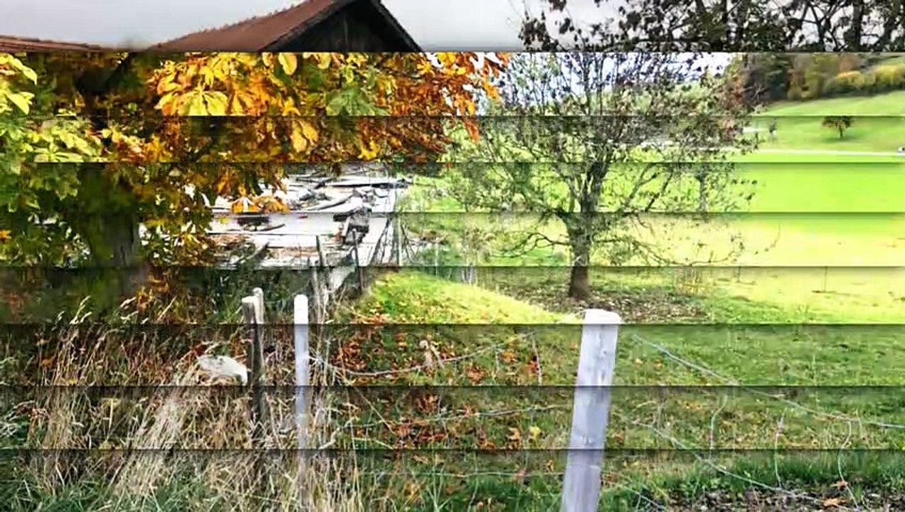 A vendre - Maison - Treyvaux (1733)