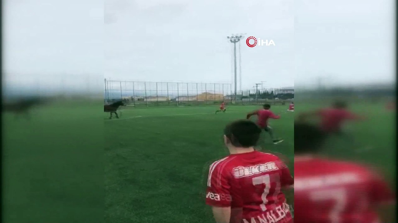 Futbol turnuvasında sahaya giren at korku dolu anlar yaşattı