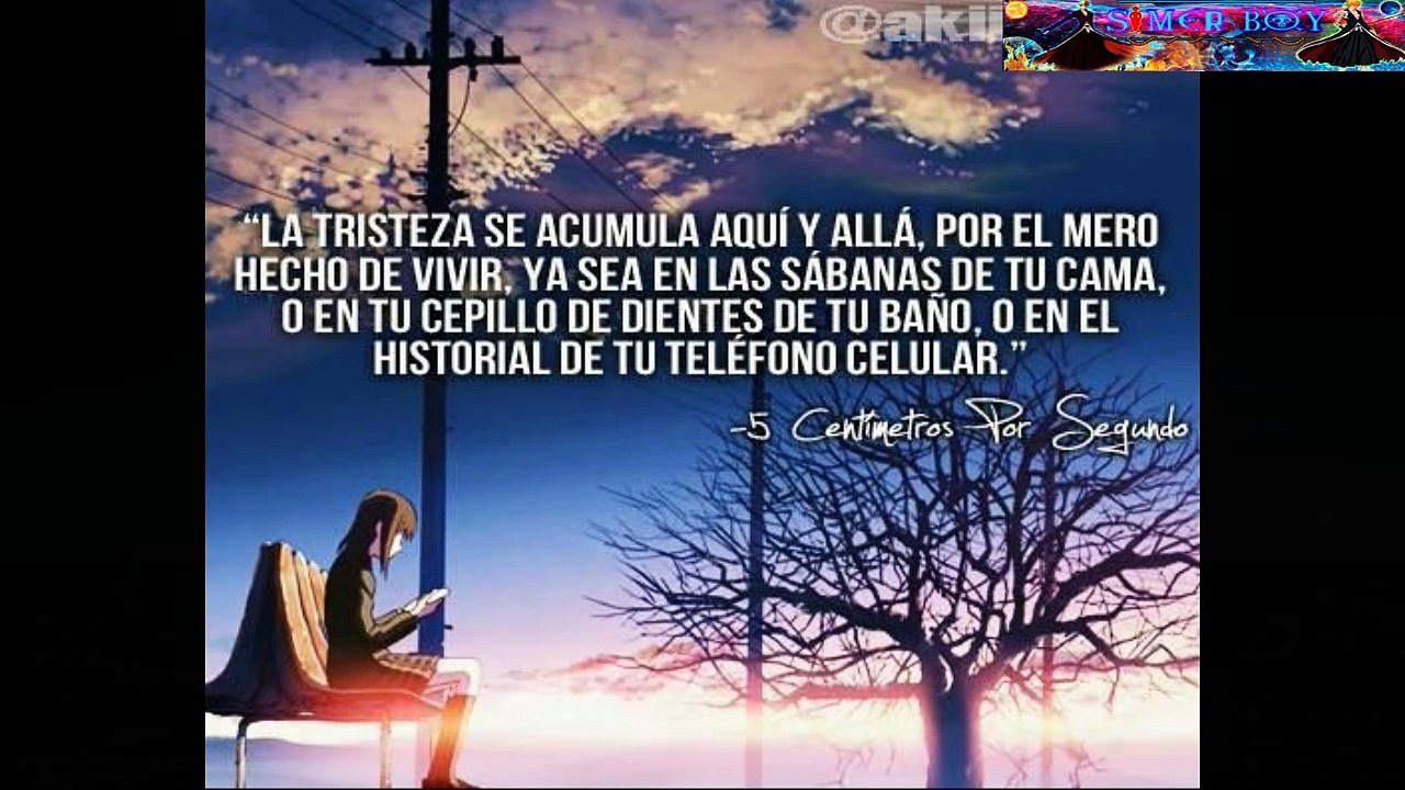 Porta Hay siempre un sentimiento muerto en un corazón roto