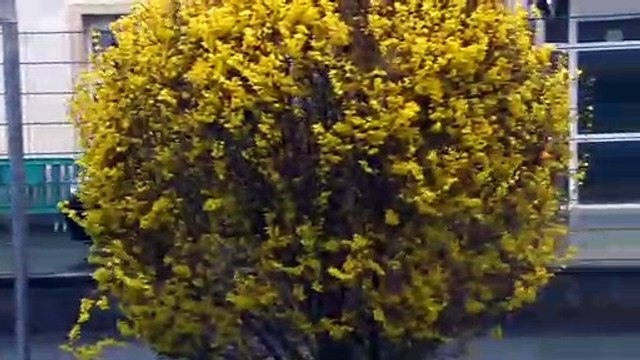 Las cajas negras del Boeing 737 MAX llegan a Francia