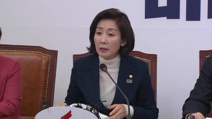 나경원 "반민특위로 국민 분열" 발언 논란 / YTN