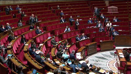 2ème séance : Croissance et transformation des entreprises (nouvelle lecture) (suite) - Jeudi 14 mars 2019