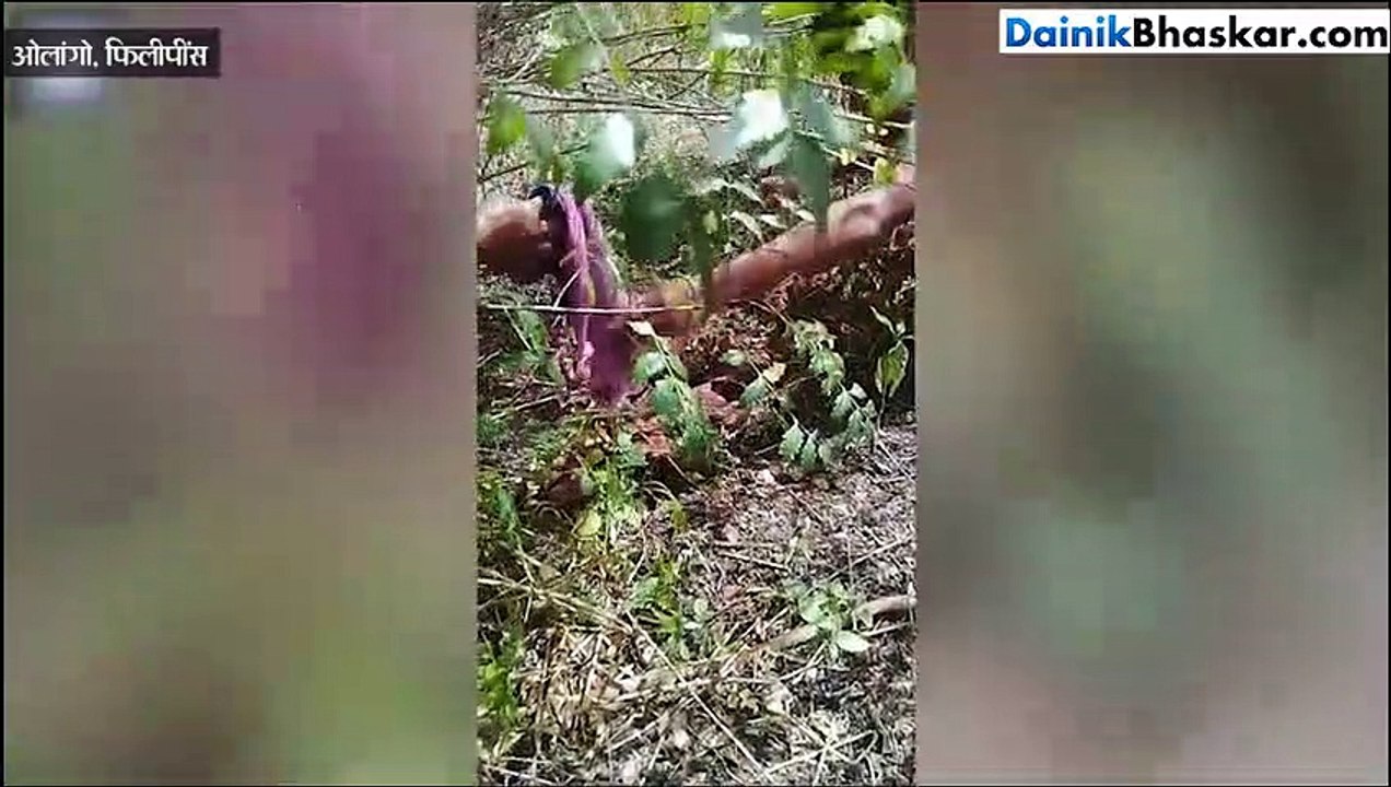 जंगल से आ रही थी रोने की आवाज, देखा तो महिला रह...