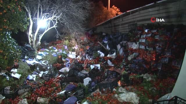 25 Ton Domates Yüklü Tır Devrildi...karayolu Domates Tarlasına Döndü