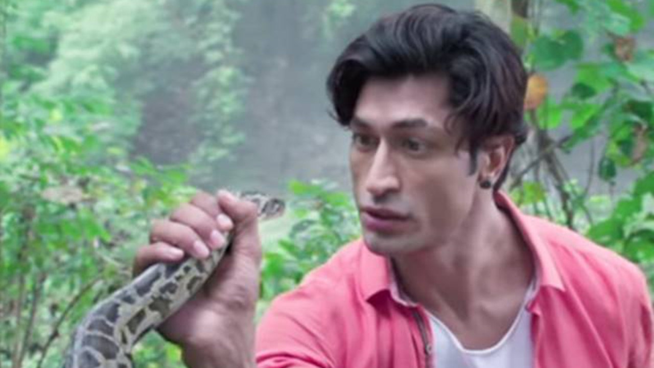 Vidyut Jammwal's action with Python in Junglee | FilmiBeat