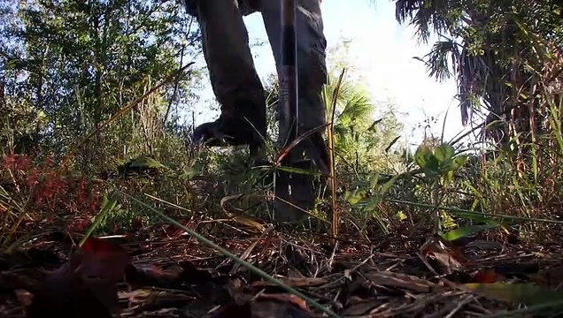 Treasure Hunting Coins & Relics A Relic Hunting Florida Adventure