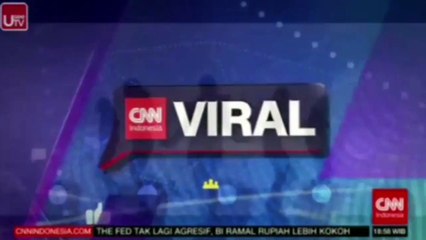Kim Chungha Comeback on CNN Indonesia Viral