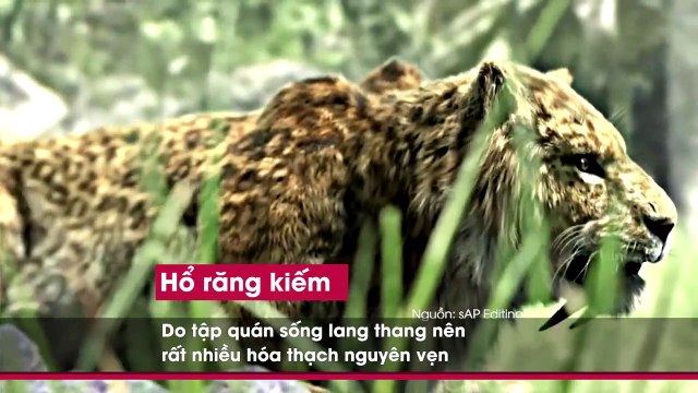 MS Những loài động vật cổ đại đã tuyệt chủng hàng ngàn năm trước sẽ có khả năng hồi sinh