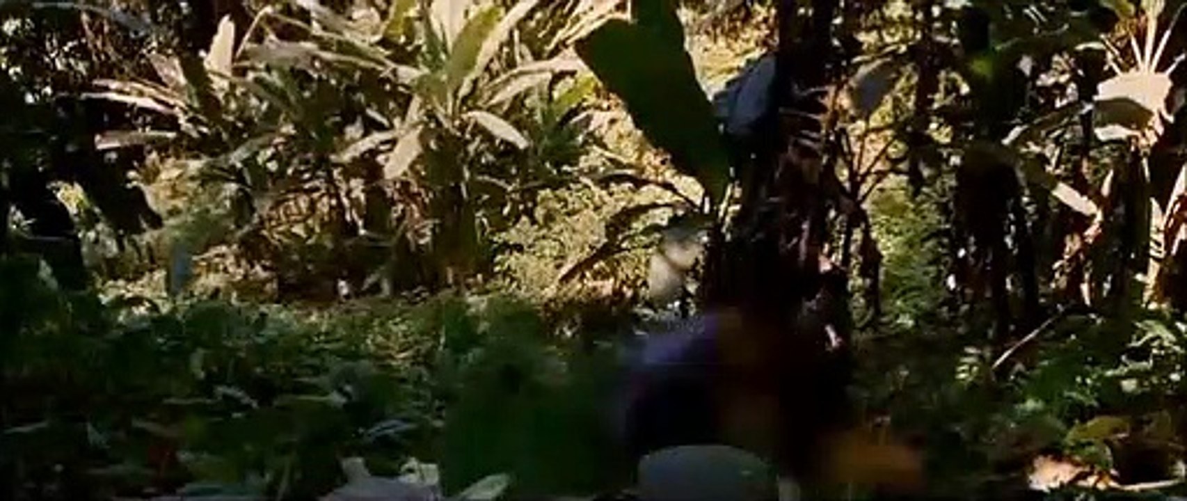 비비카지노주소∰ DIO36。ＣＯＭ ∰비비카지노주소