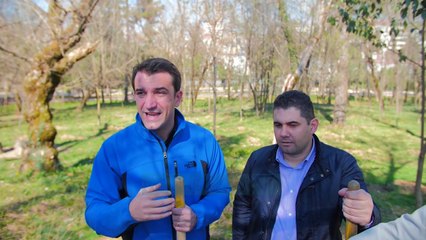 Qytetarët mbjellin pemë te parku i liqenit artificial - News, Lajme - Vizion Plus