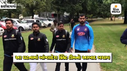 હુમલાખોરે Fb લાઇવ કરી ફાયરિંગ કર્યુ, 40નાં મોત; વિસ્ફોટકો ભરેલી કાર સાથે 4ની ધરપકડ