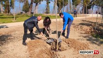 Report Tv - Veliaj: Krenar për të gjithë ata që mbjellin pemë, do thyejmë rekordin e vitit të shkuar