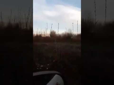 Повторно запалена трска во Струга