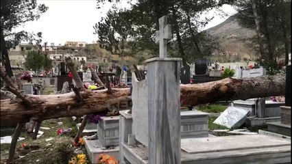 Report TV - Era e fortë bënë në Lezhë, pemët rrëzohen mbi varreza
