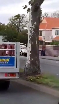 This appears to be the NewZealand Mosque shooter being arrested